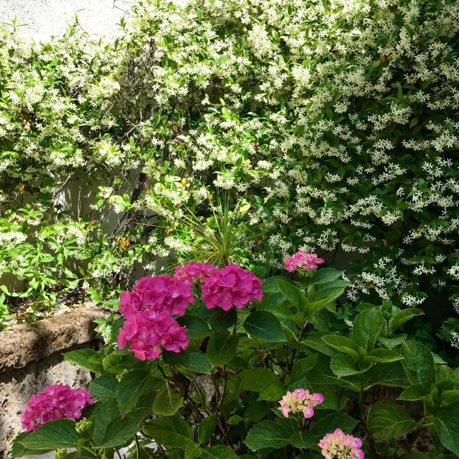 Villa Belvedere Hotel Limone sul Garda Εξωτερικό φωτογραφία